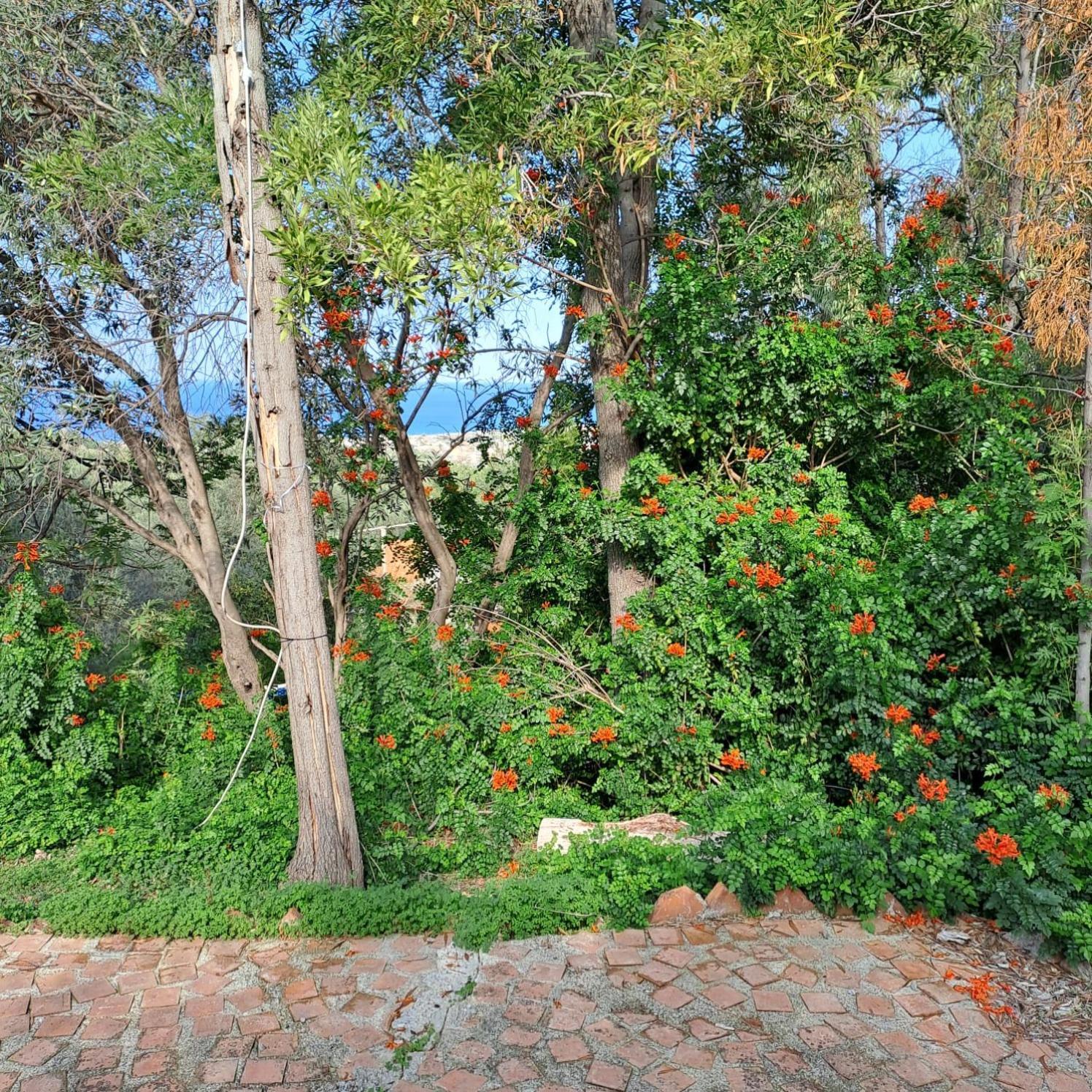 Villa Gatto Rometta Marea Extérieur photo